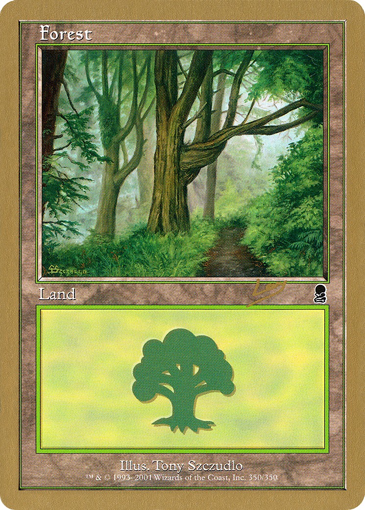 Forest - Image 1