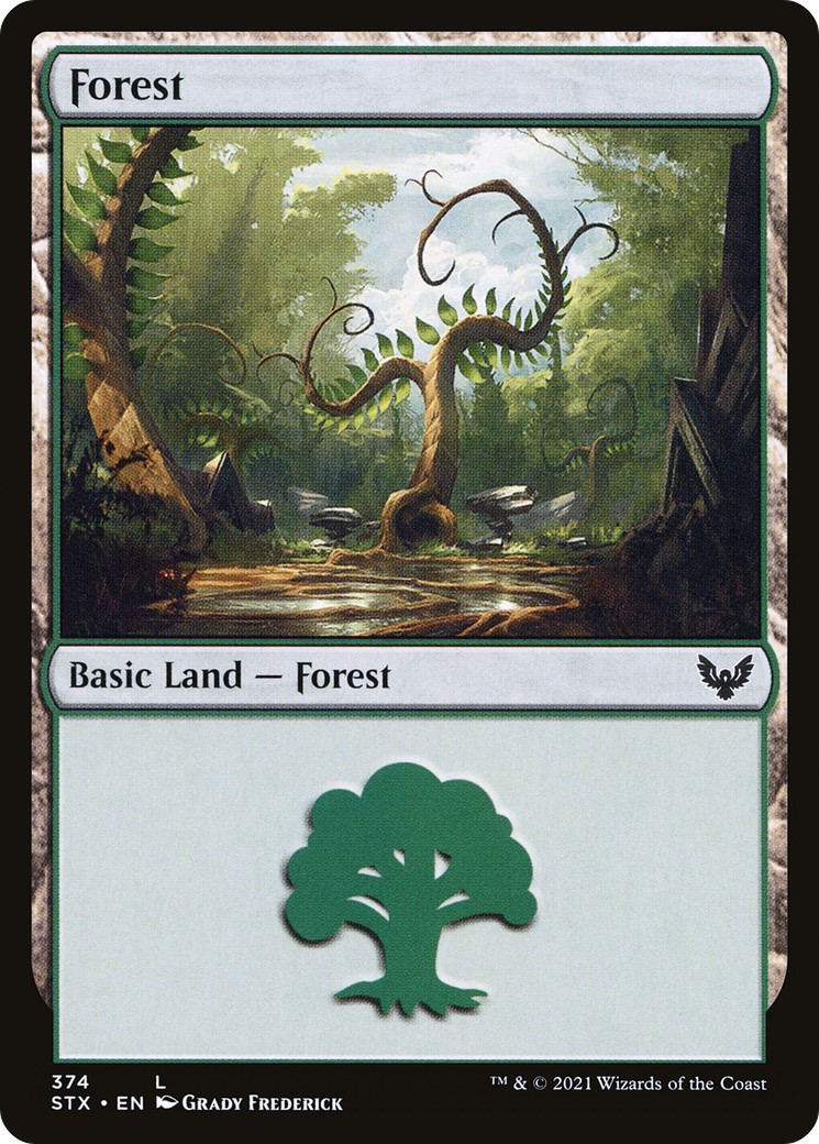 Forest - Image 1