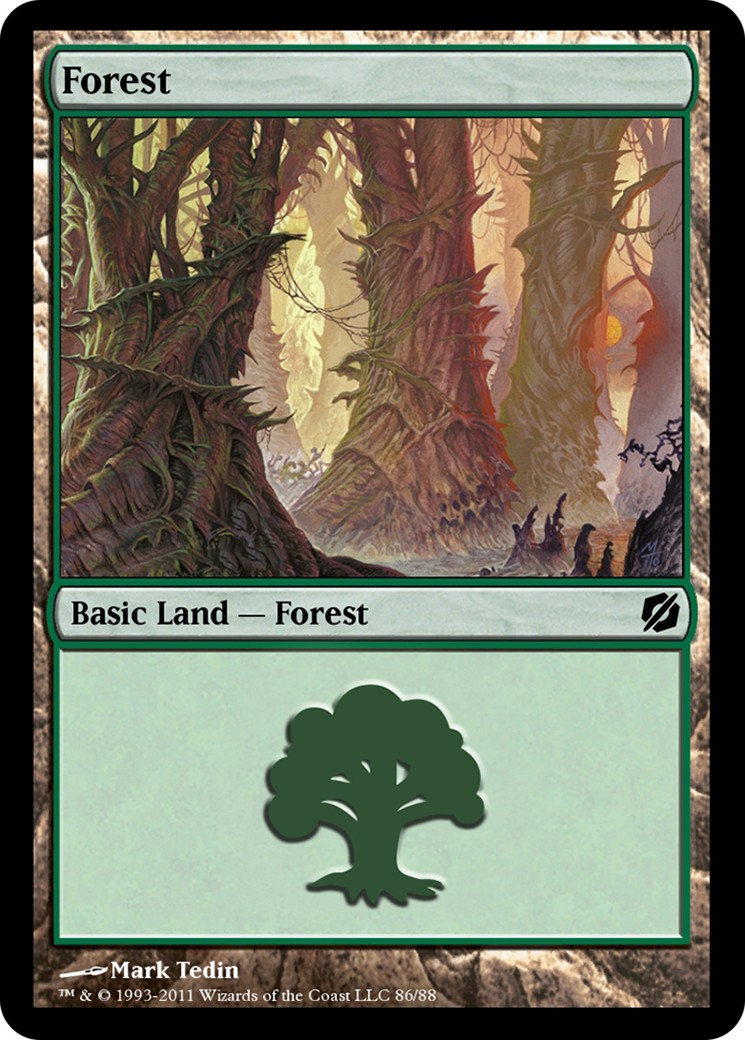 Forest - Image 1