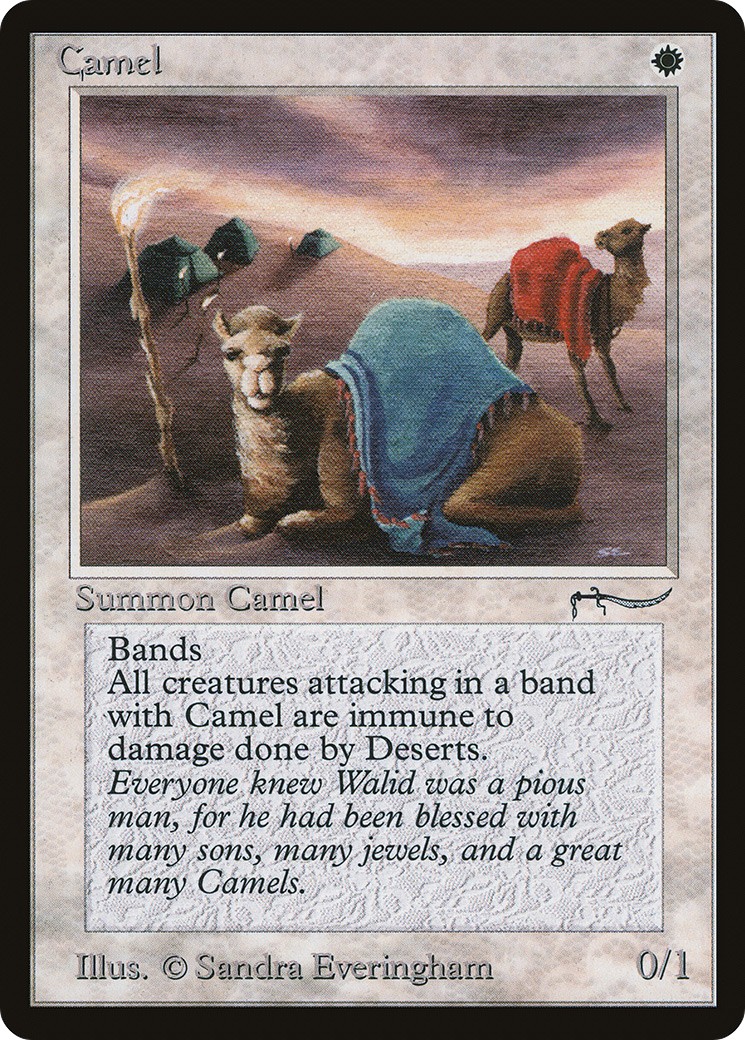 Camel - Image 1
