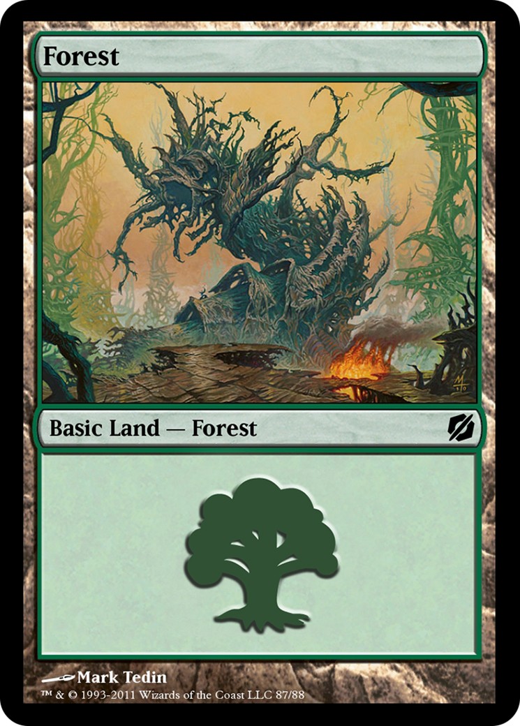 Forest - Image 1