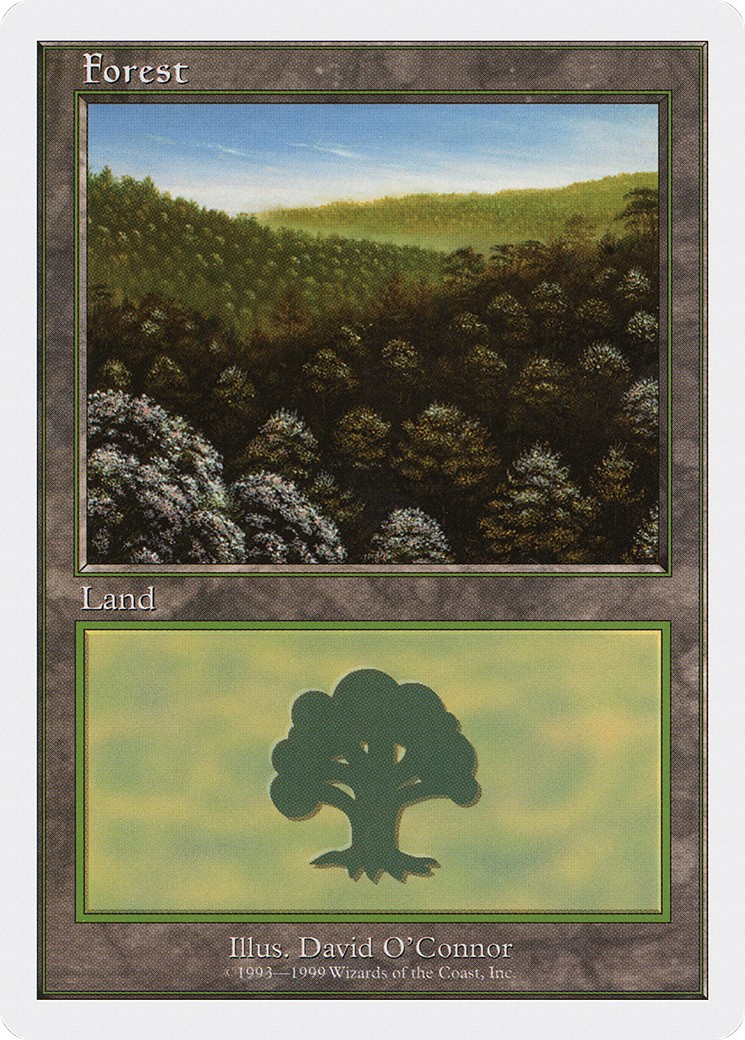 Forest - Image 1
