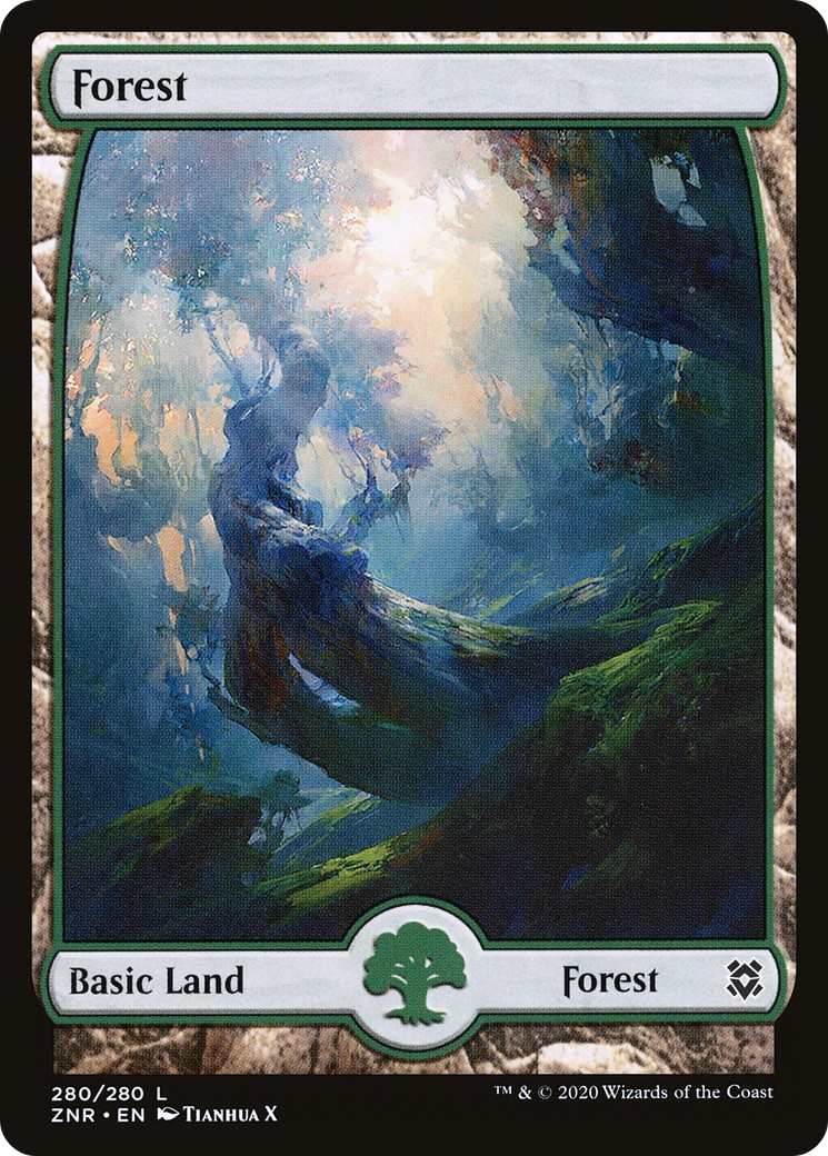 Forest - Image 1