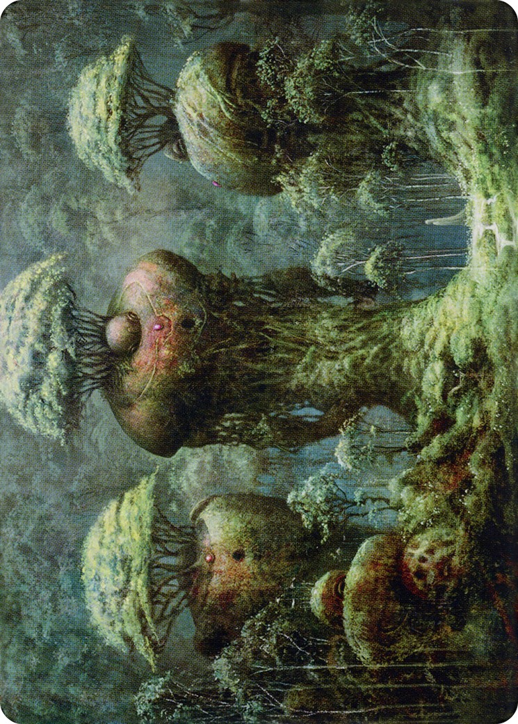 Forest // Forest - Image 1