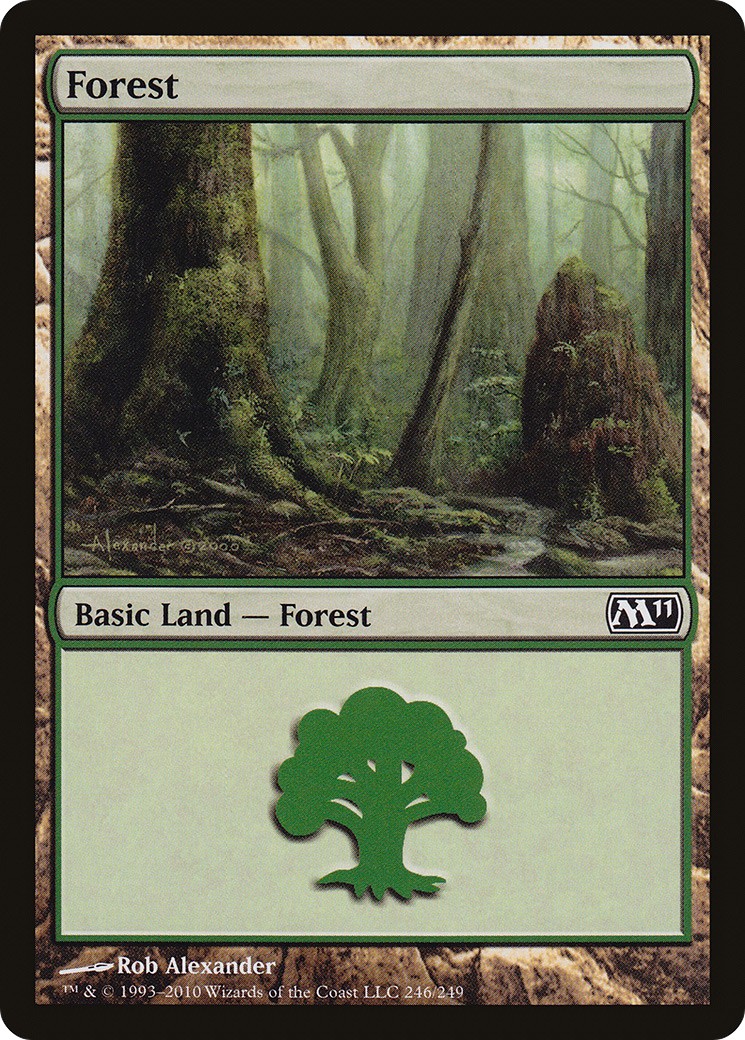 Forest - Image 1