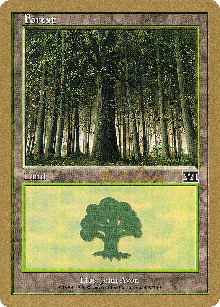 Forest - Image 1