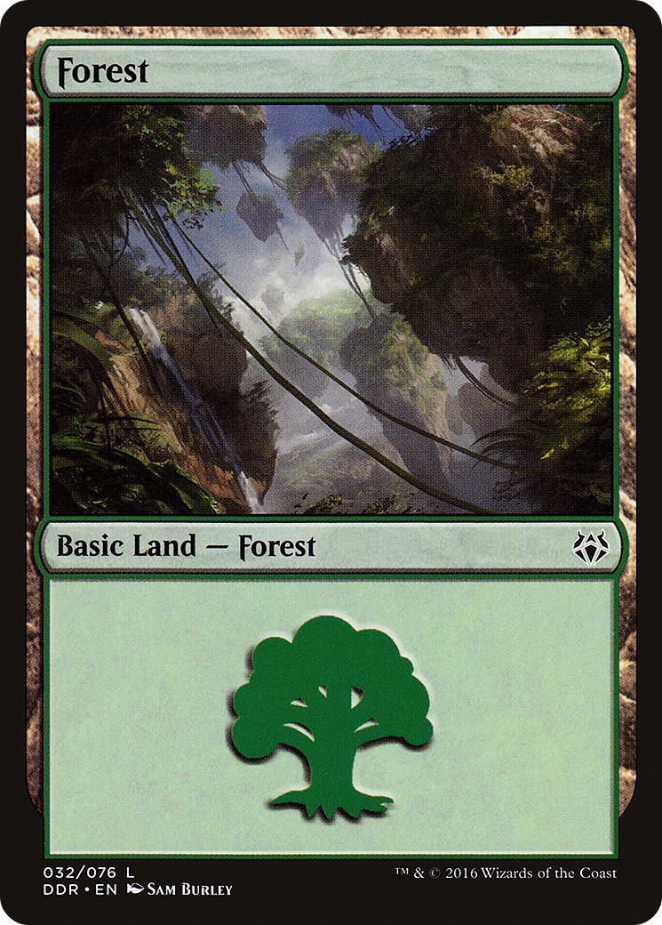 Forest - Image 1