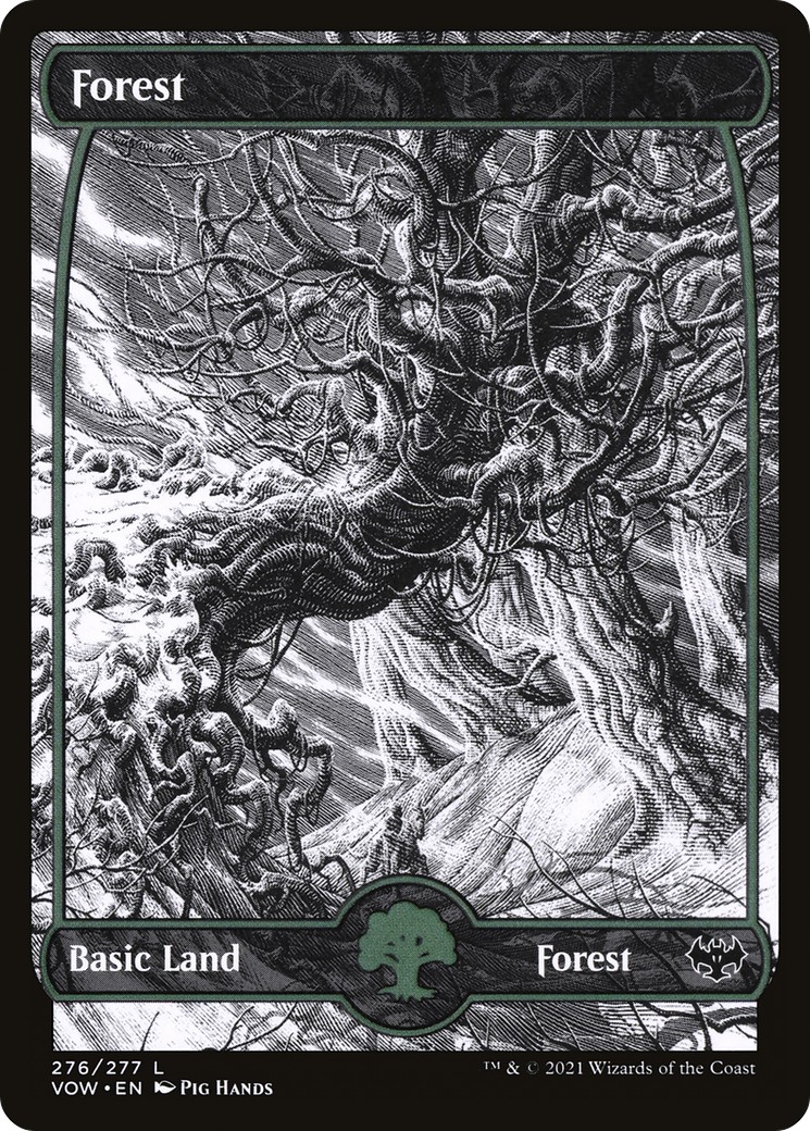 Forest - Image 1