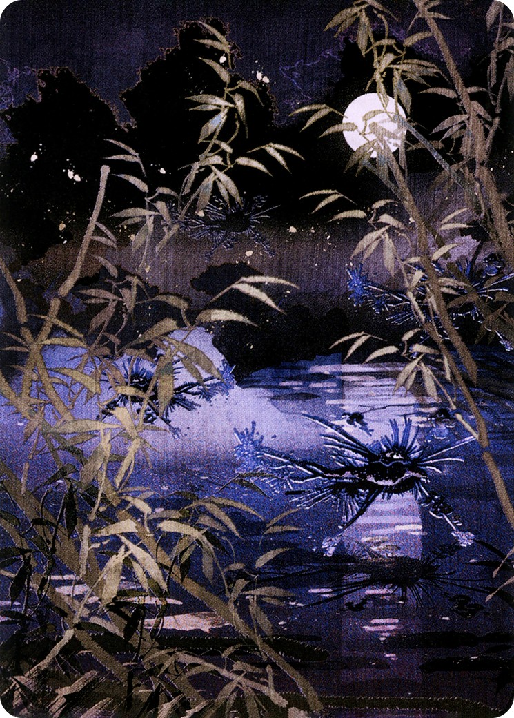 Swamp // Swamp - Image 1