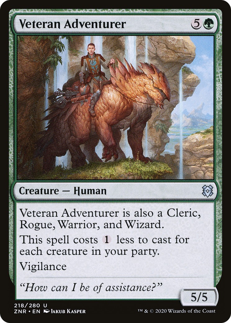 Veteran Adventurer - Image 1