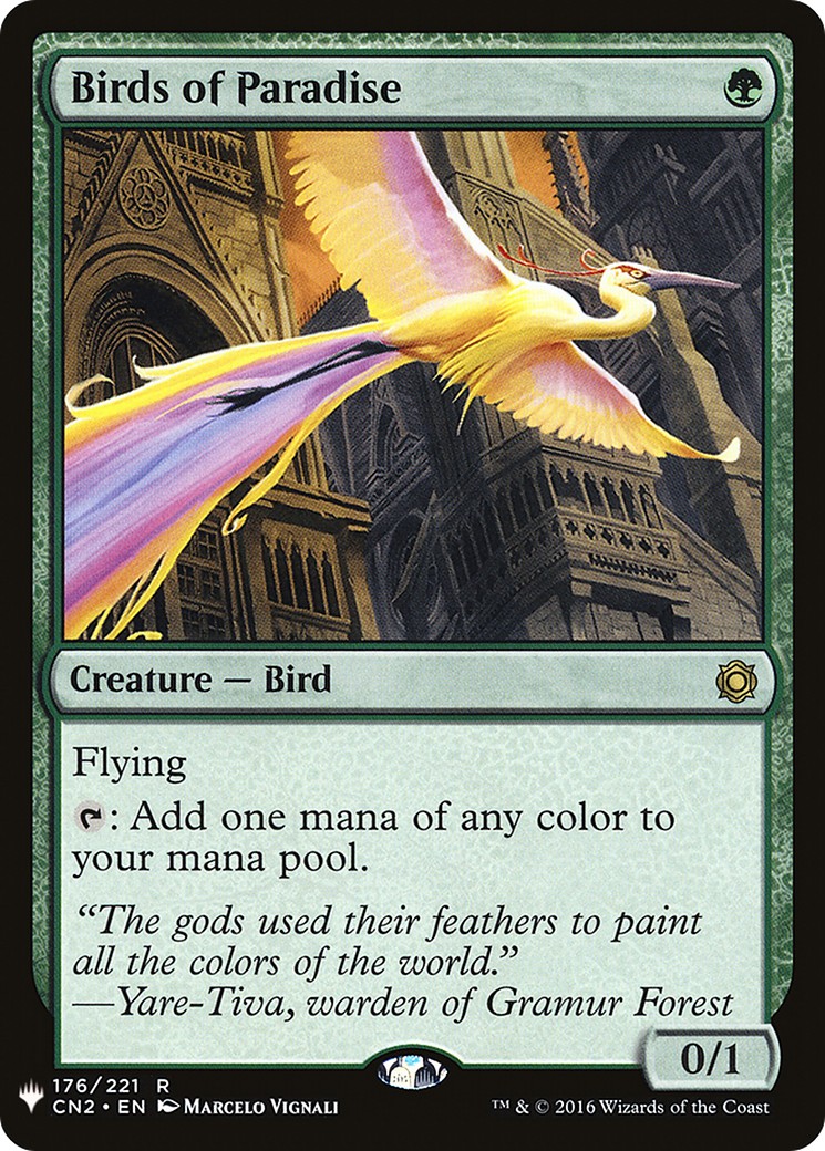 Birds of Paradise - Image 1