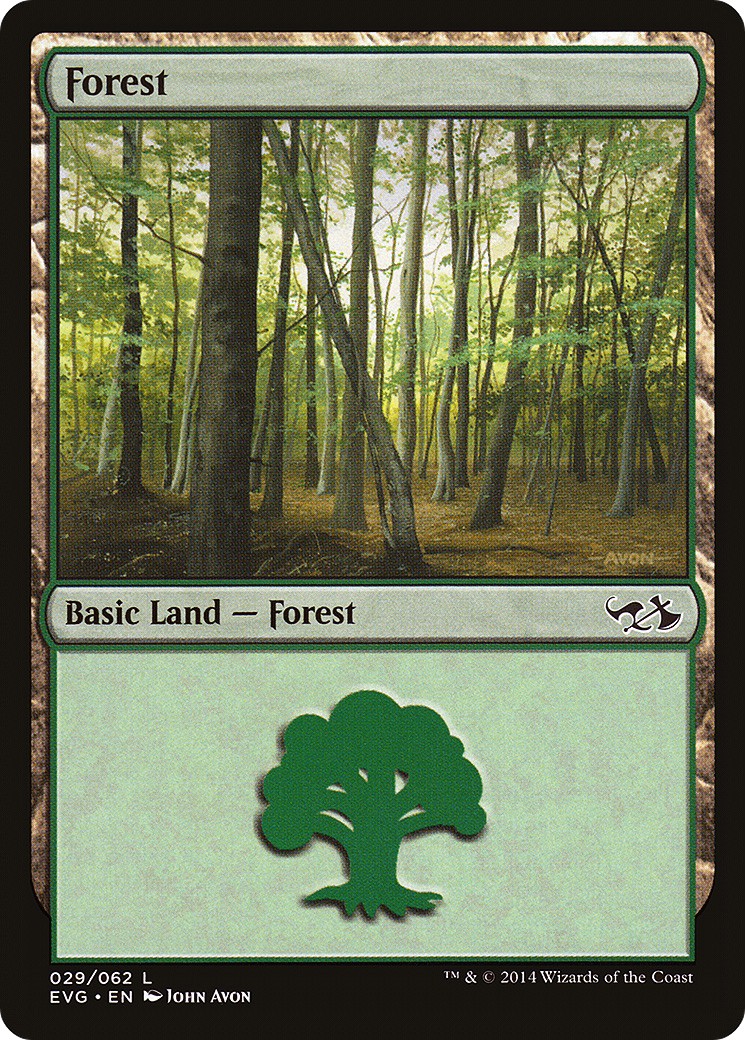 Forest - Image 1