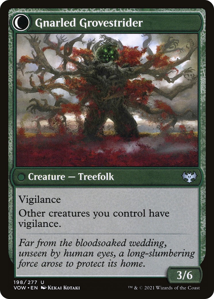 Dormant Grove // Gnarled Grovestrider thumbnail 2