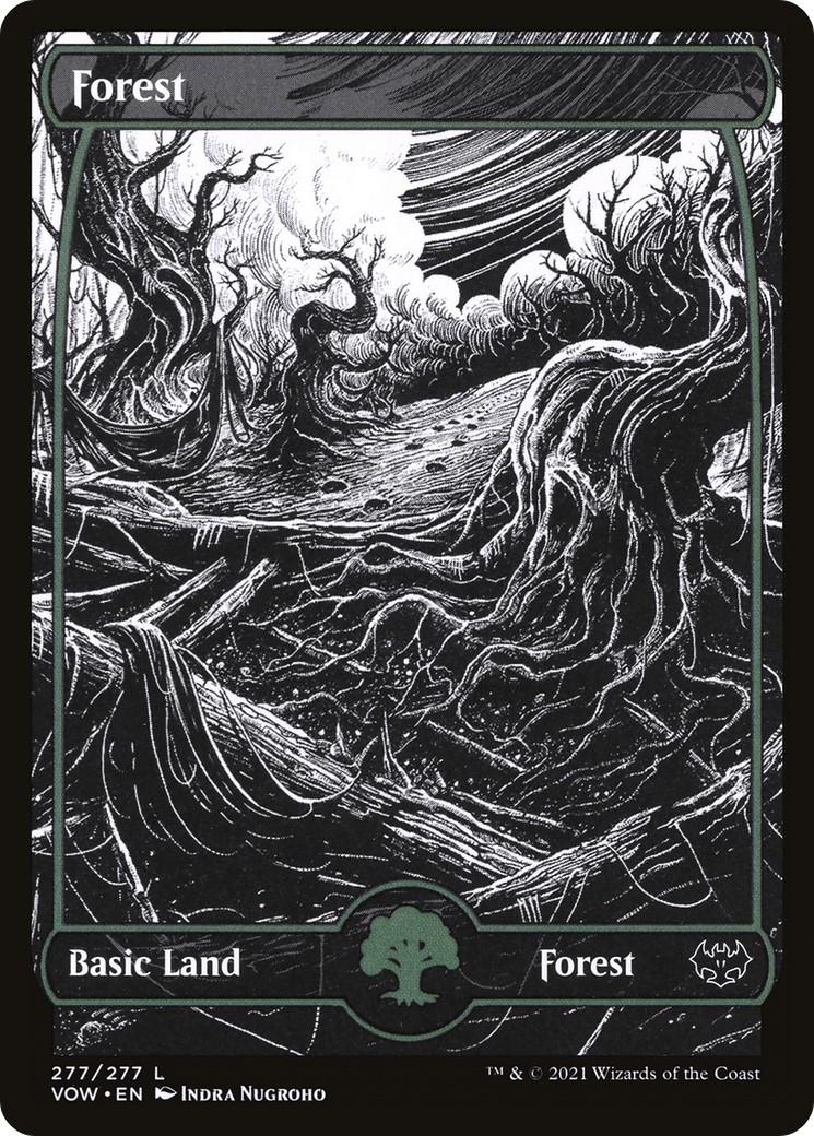 Forest - Image 1