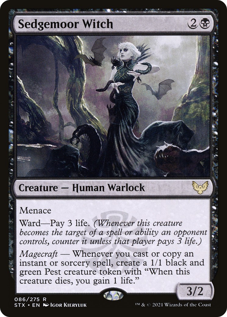 Sedgemoor Witch - Image 1