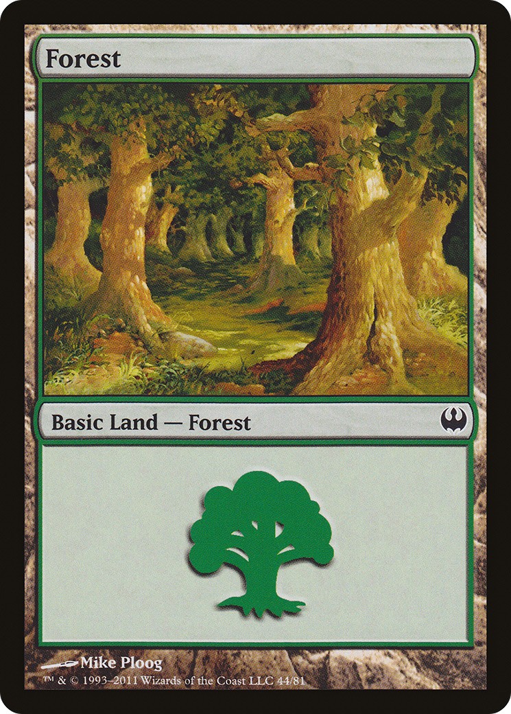 Forest - Image 1
