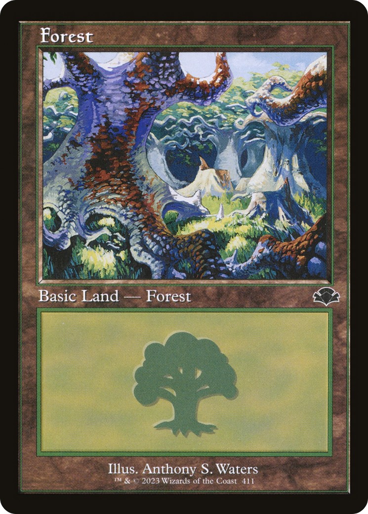 Forest - Image 1