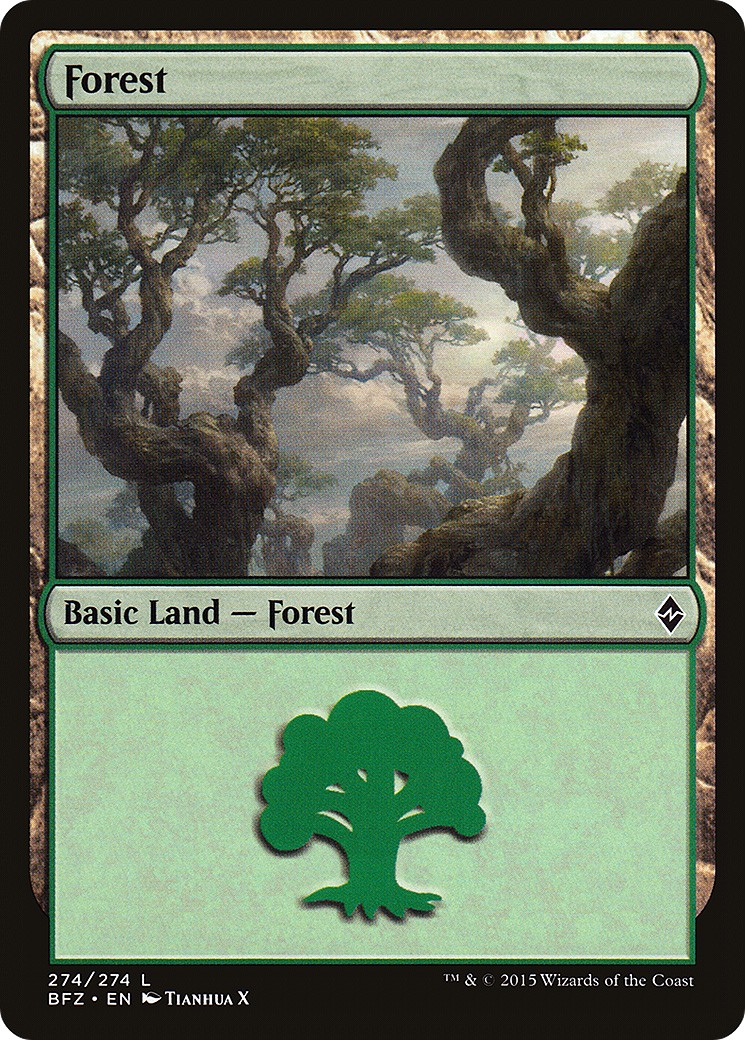 Forest - Image 1