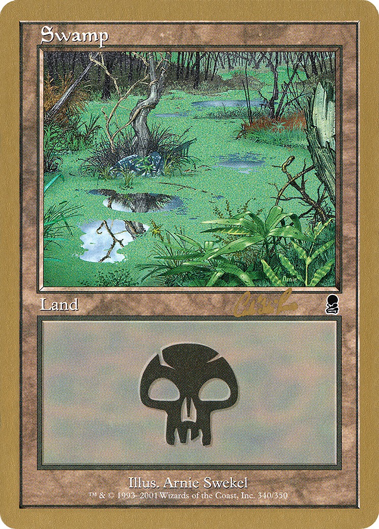 Swamp - Image 1