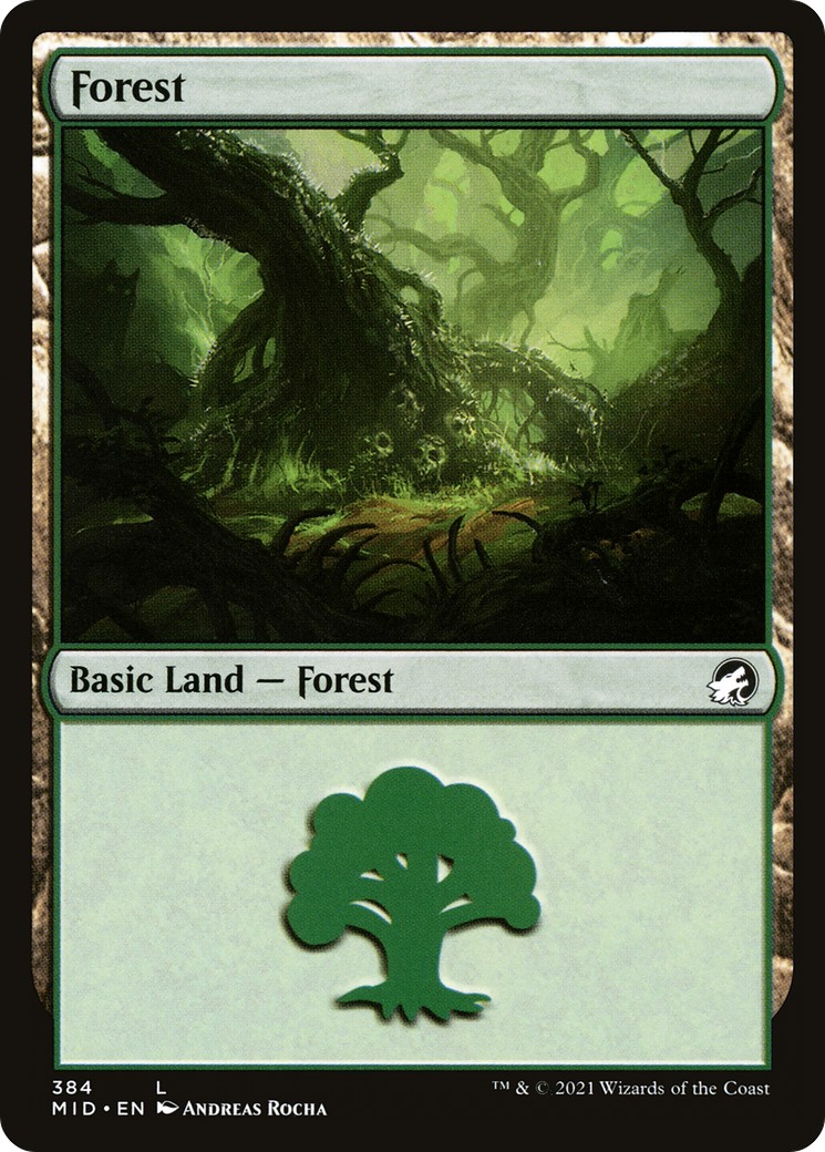 Forest - Image 1