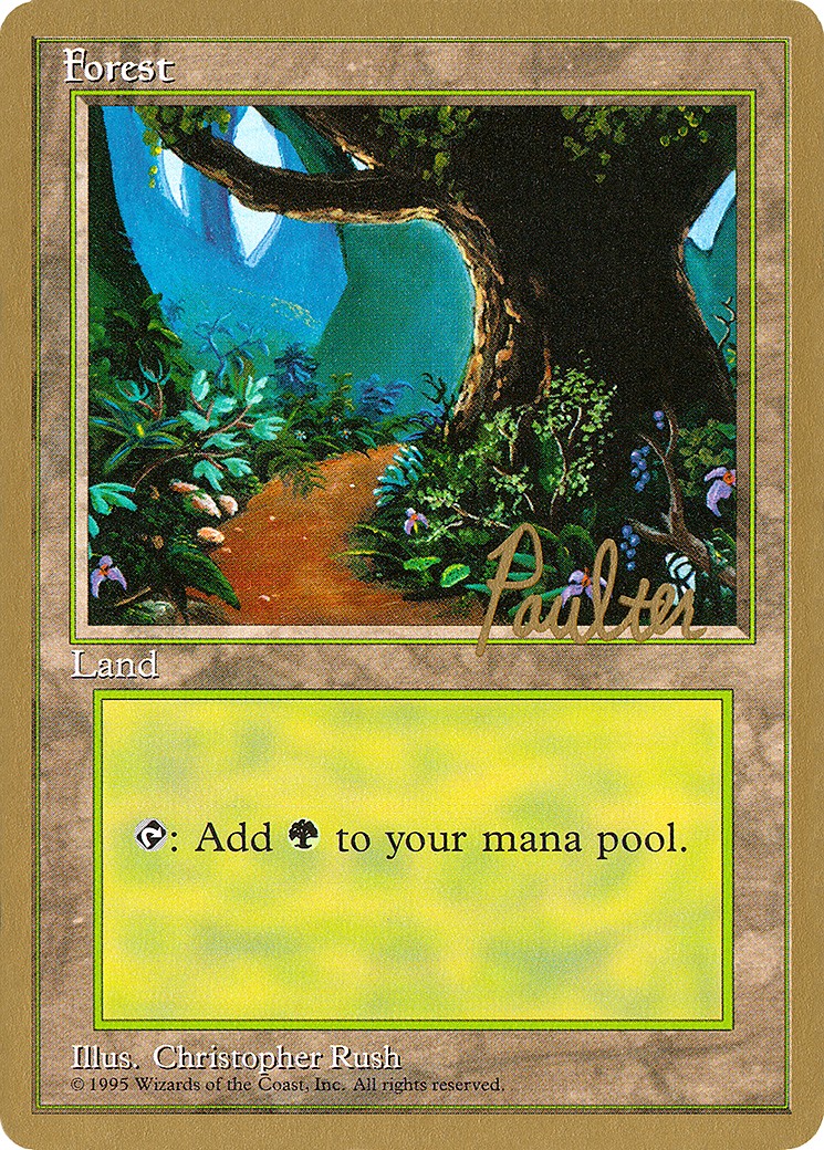 Forest - Image 1
