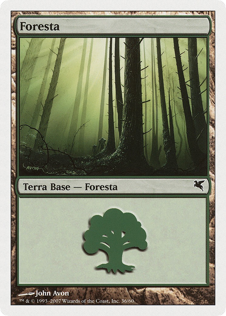Forest - Image 1