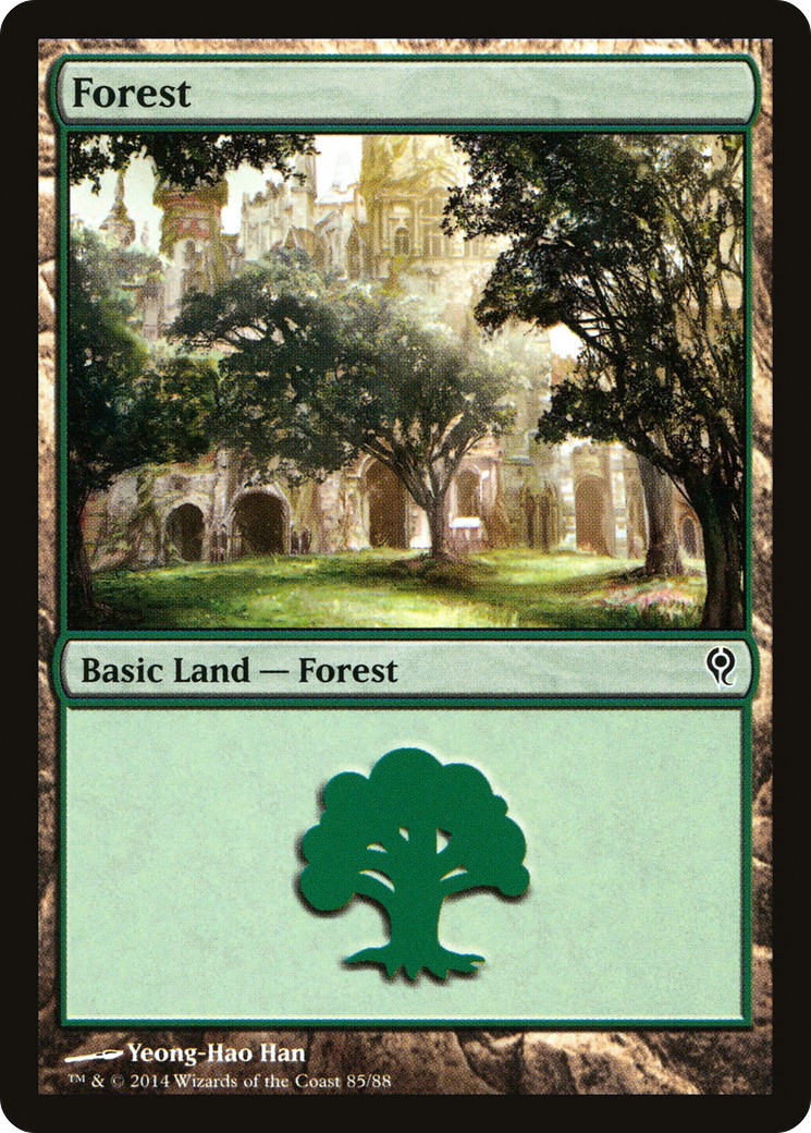 Forest - Image 1