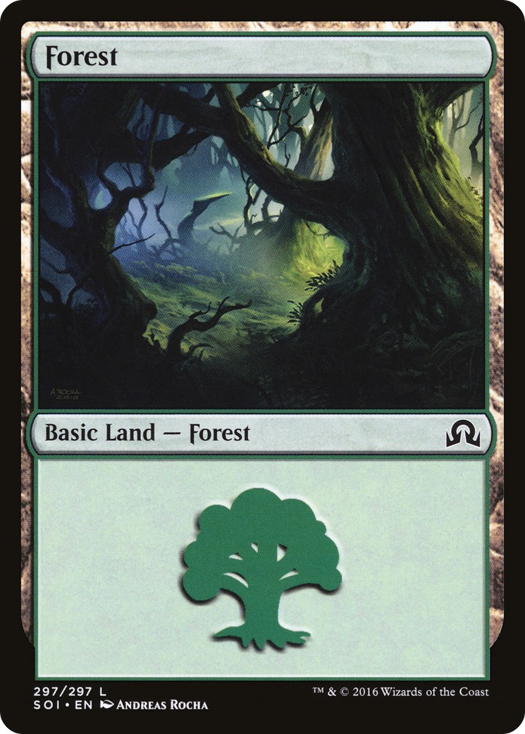 Forest - Image 1