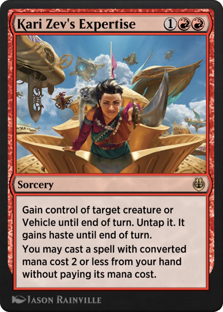 Kari Zev's Expertise - Image 1