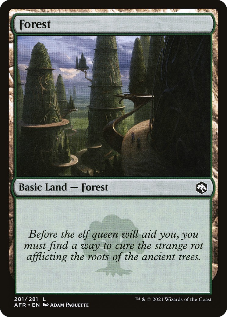 Forest - Image 1