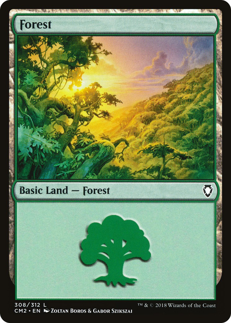 Forest - Image 1