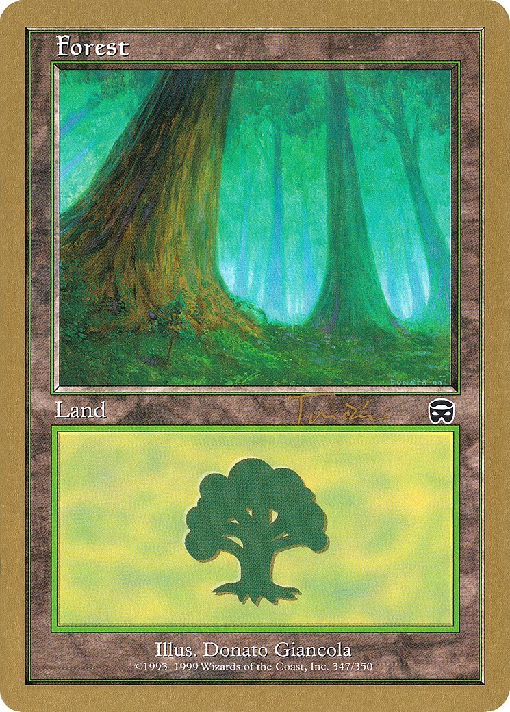 Forest - Image 1