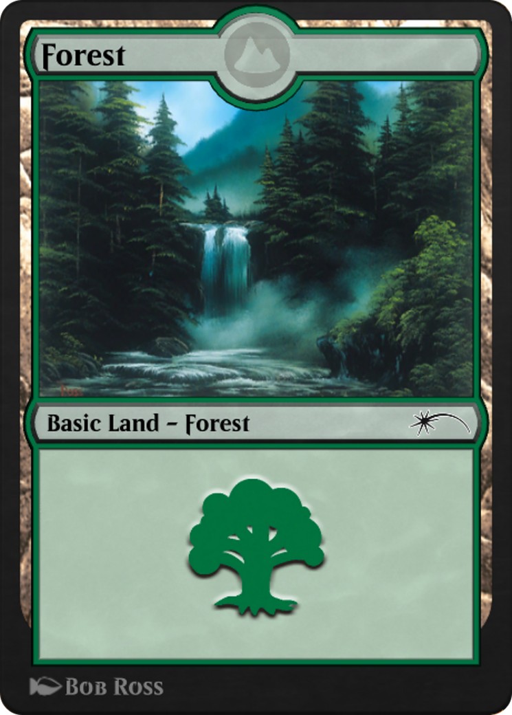 Forest - Image 1