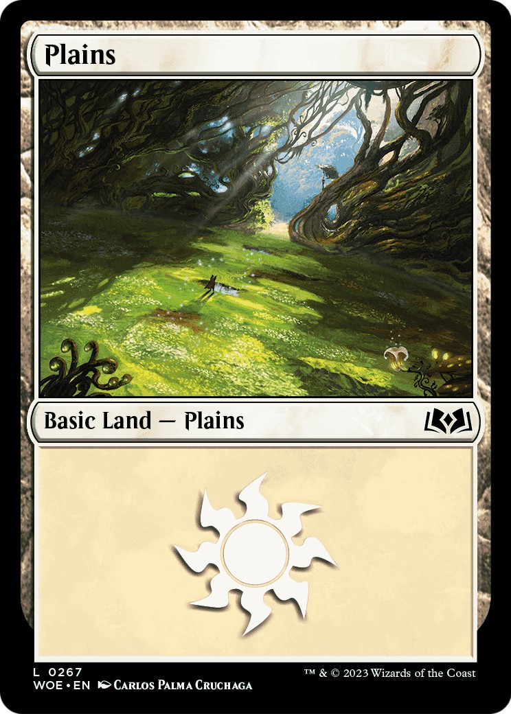 Plains - Image 1