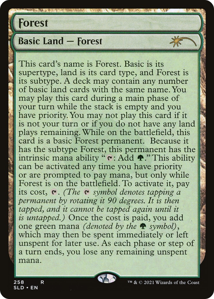 Forest - Image 1