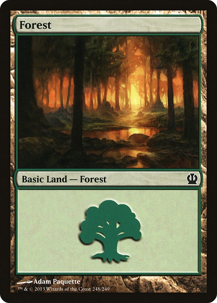 Forest - Image 1