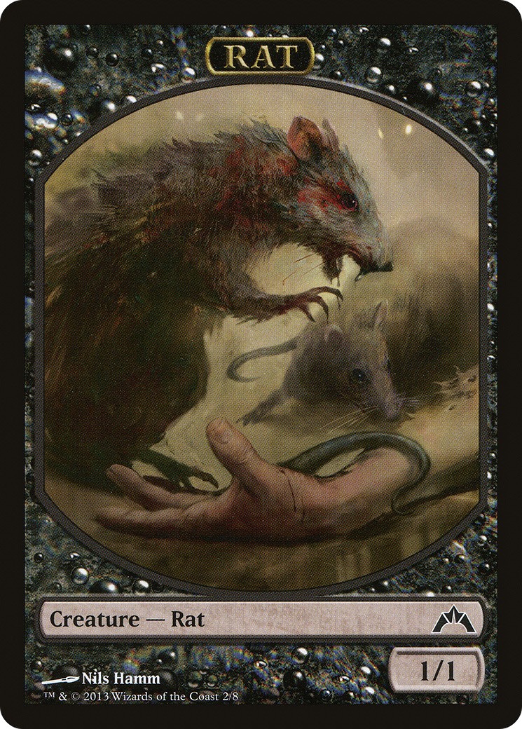 Rat - Image 1