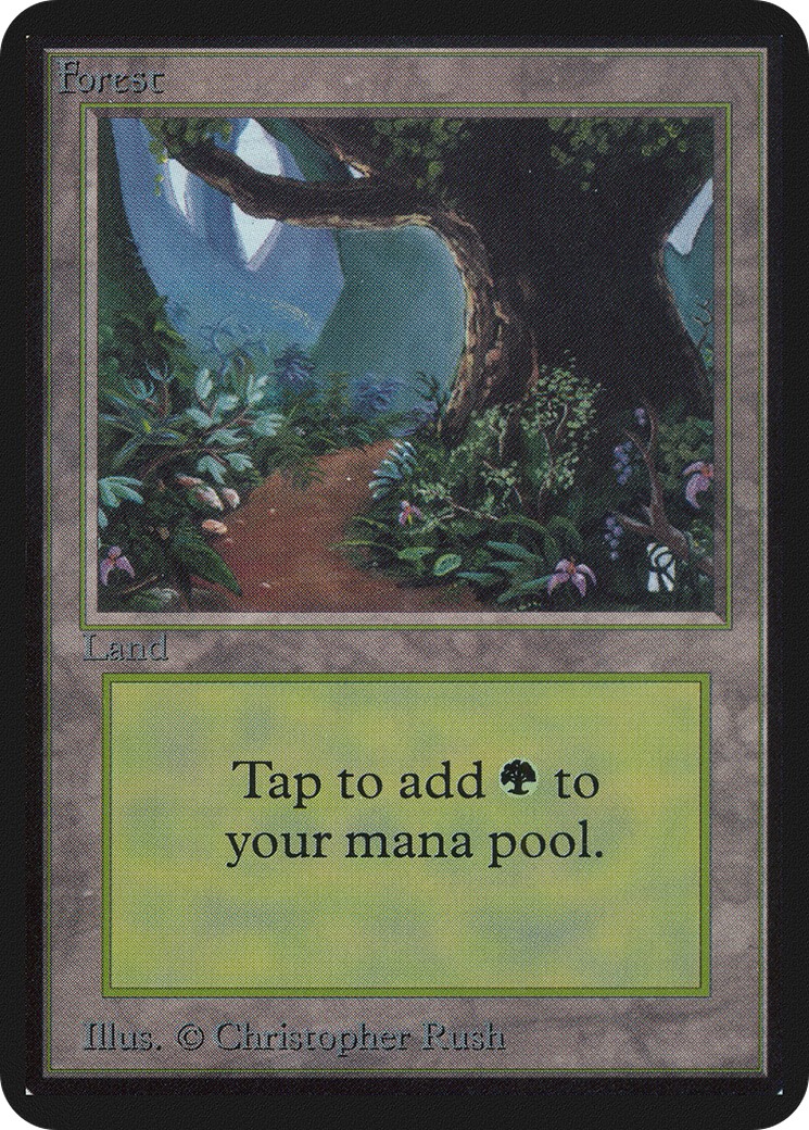 Forest - Image 1