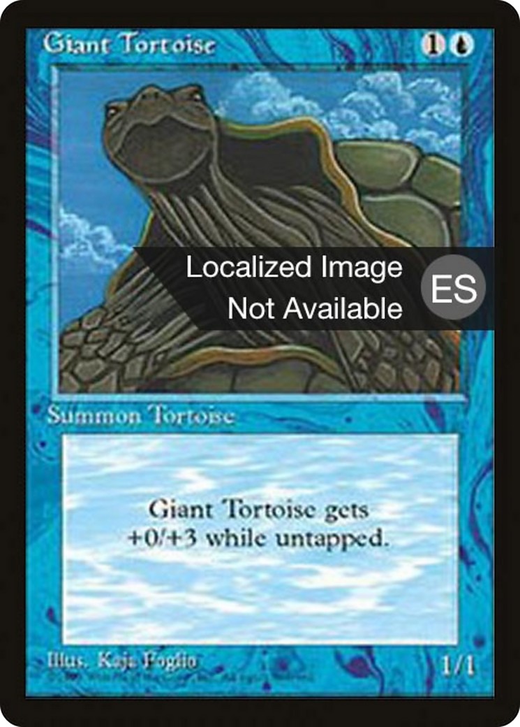 Giant Tortoise - Image 1