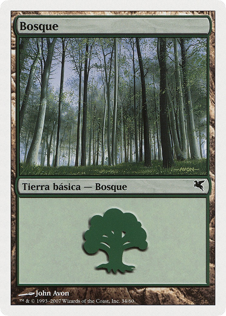 Forest - Image 1