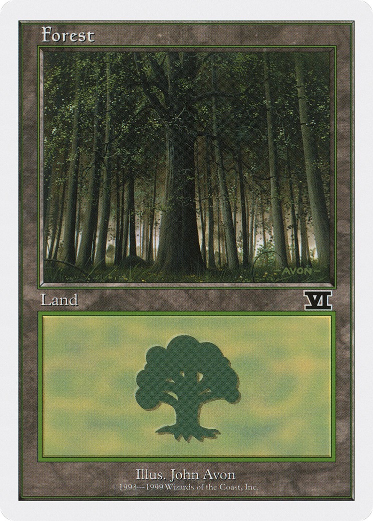 Forest - Image 1