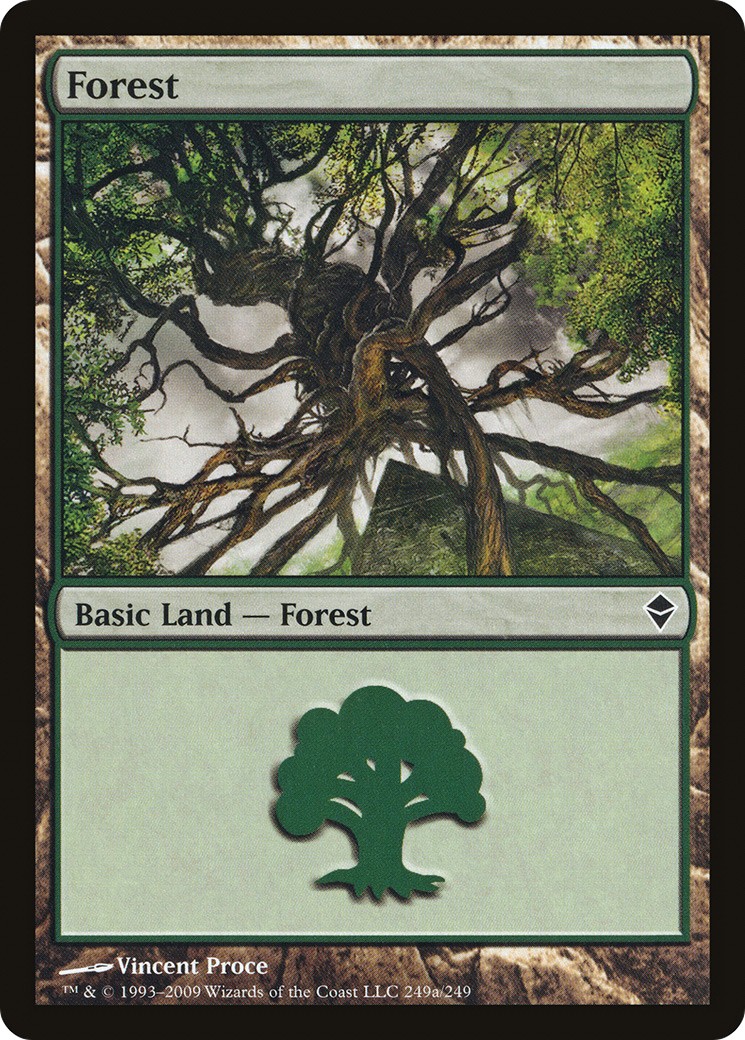 Forest - Image 1