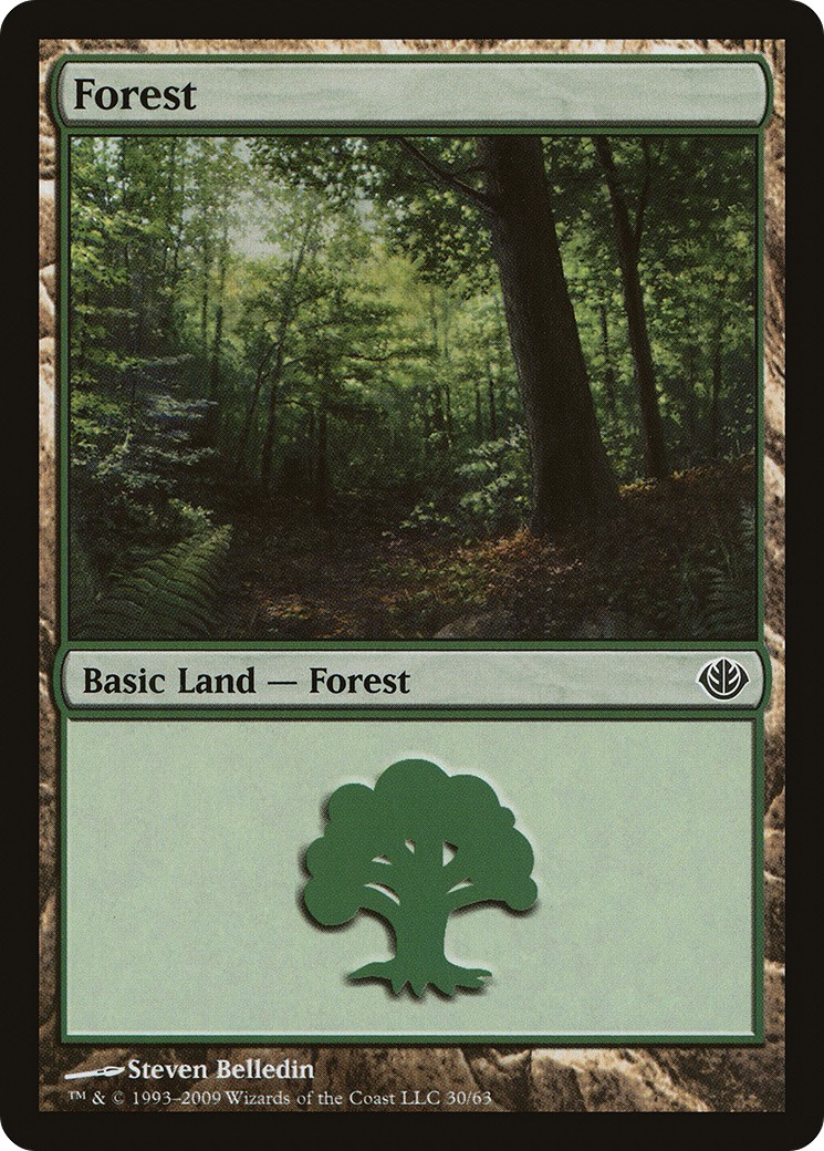 Forest - Image 1