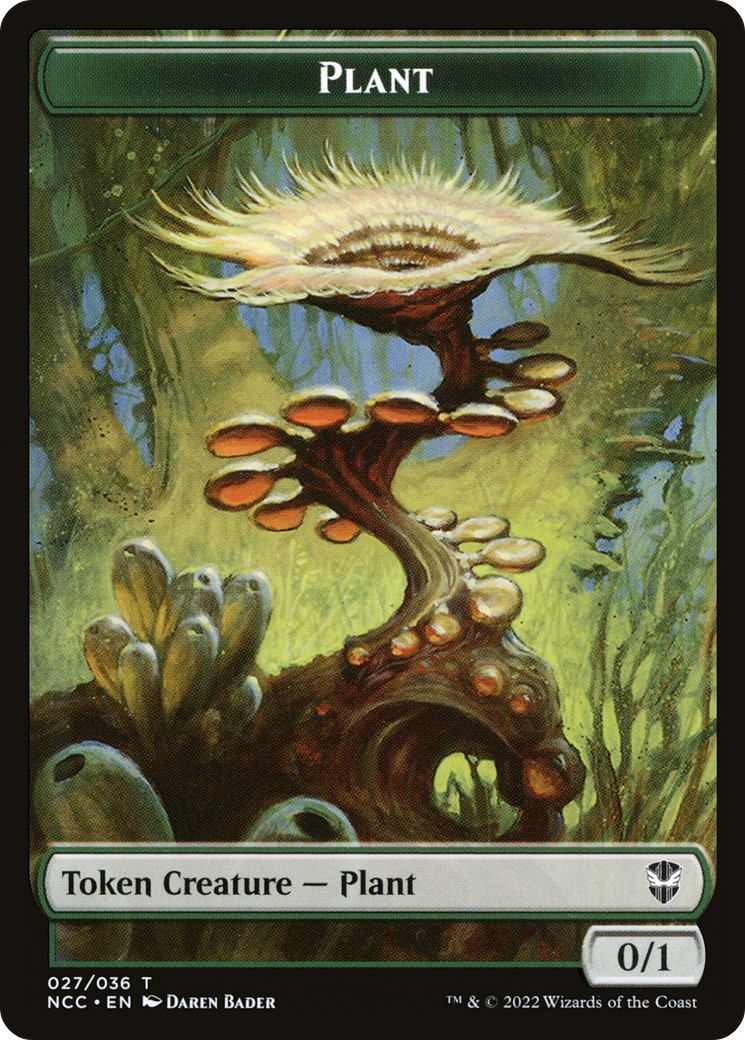 Plant - Image 1