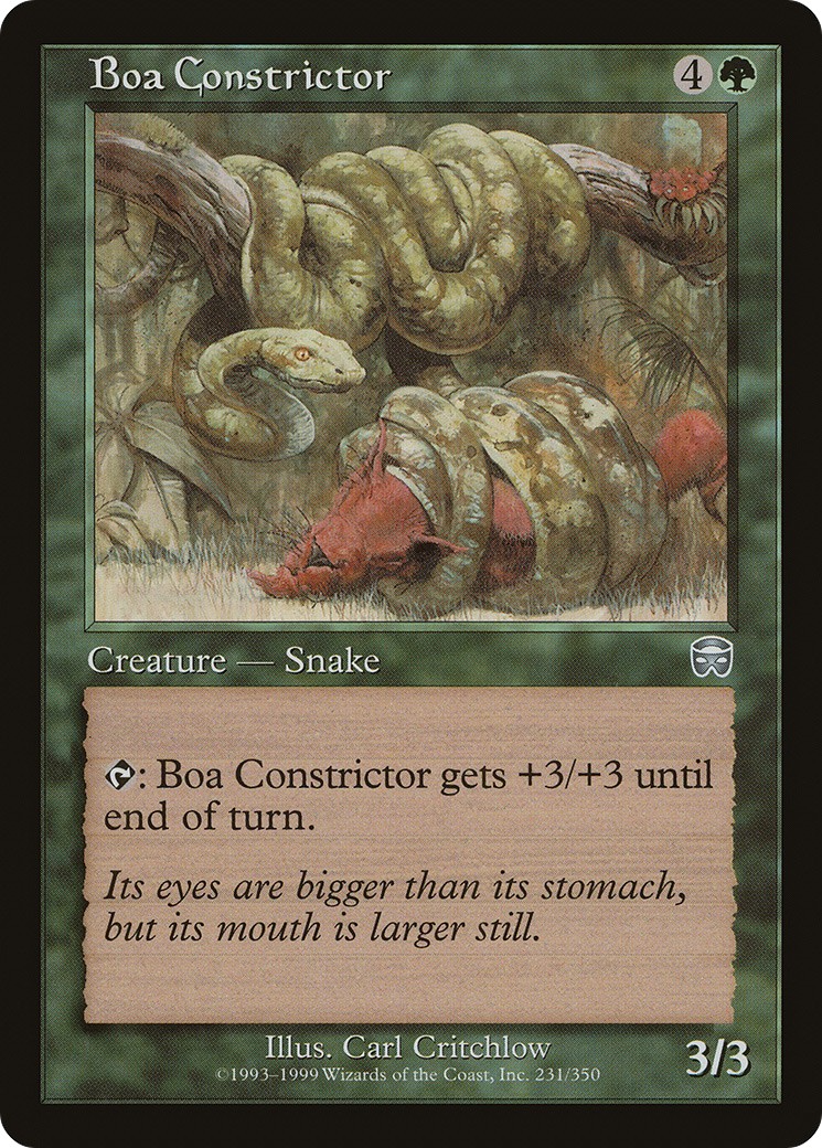 Boa Constrictor - Image 1