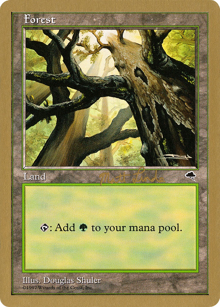 Forest - Image 1