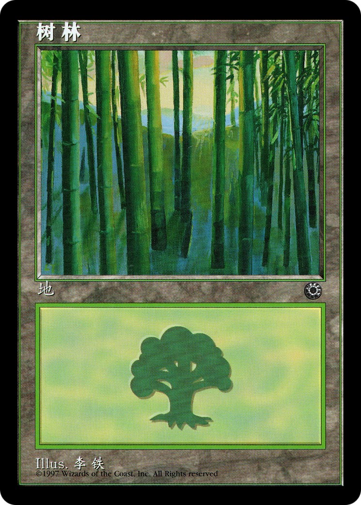 Forest - Image 1