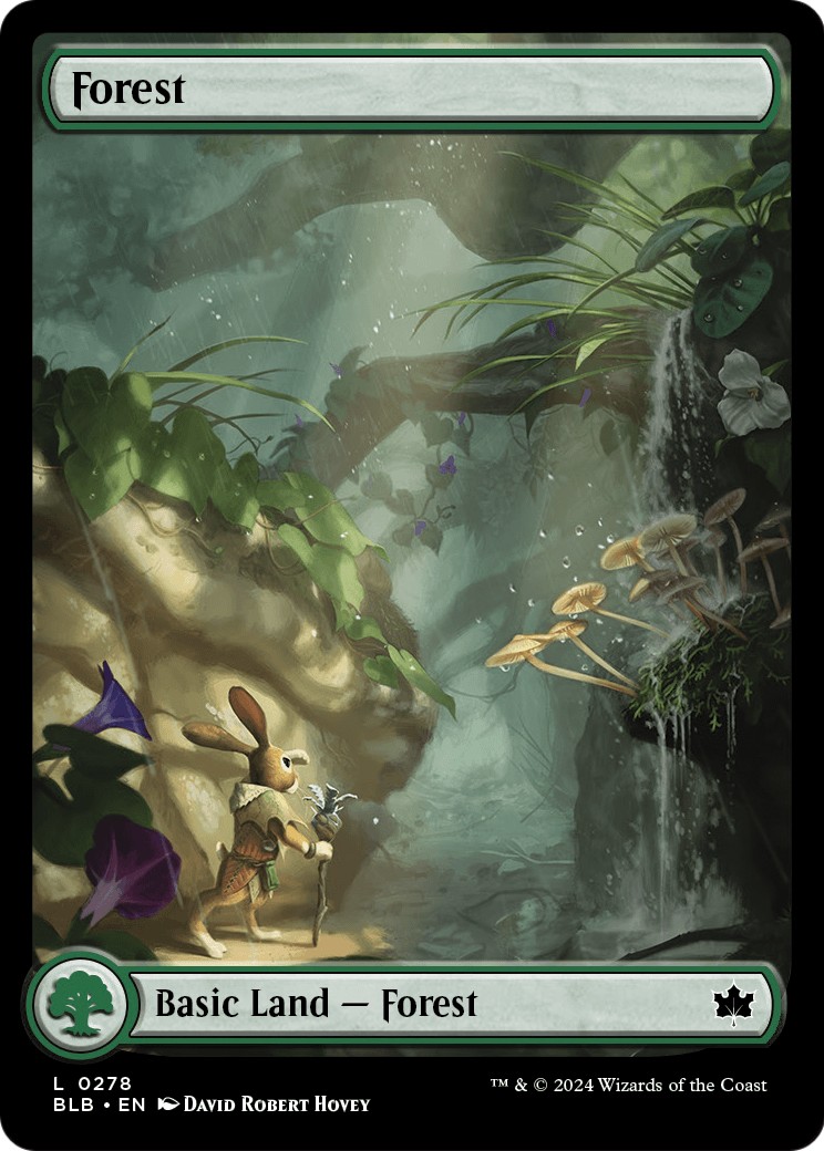 Forest - Image 1