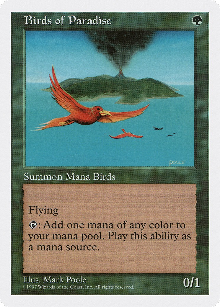 Birds of Paradise - Image 1