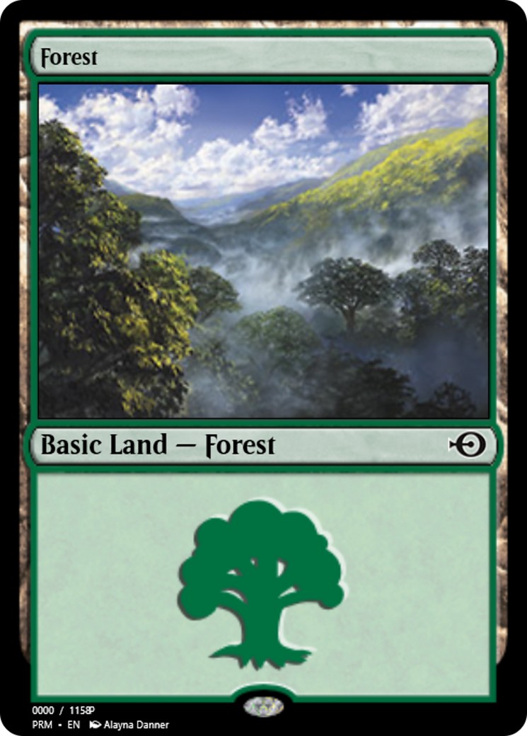 Forest - Image 1